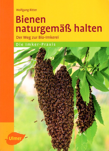 Missgebildete Bienen! Achtung Varroa! Solche Völker haben jetzt kaum Überlebenschancen, können aber andere infizieren.